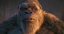 Godzilla x Kong Trailer Kong besorgt