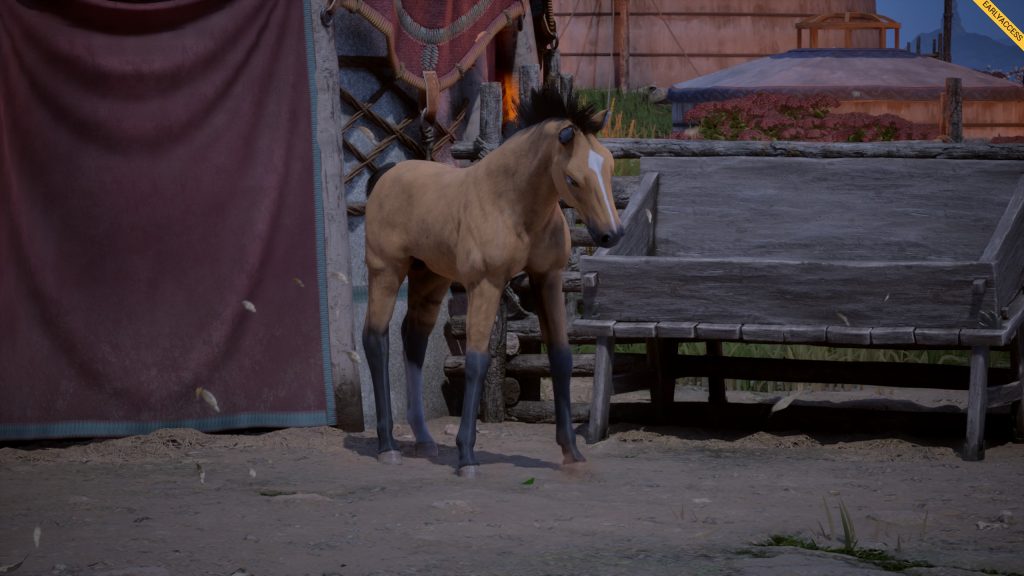 The Legend of Khiimori Foals