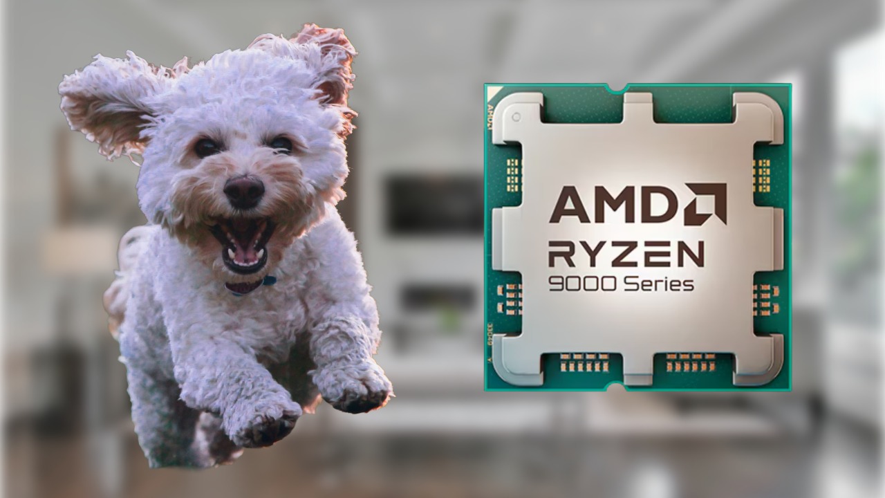 Dog chews on a user’s brand new processor and AMD’s rules are clear