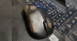 Titelbild Maus Nutzer reddit