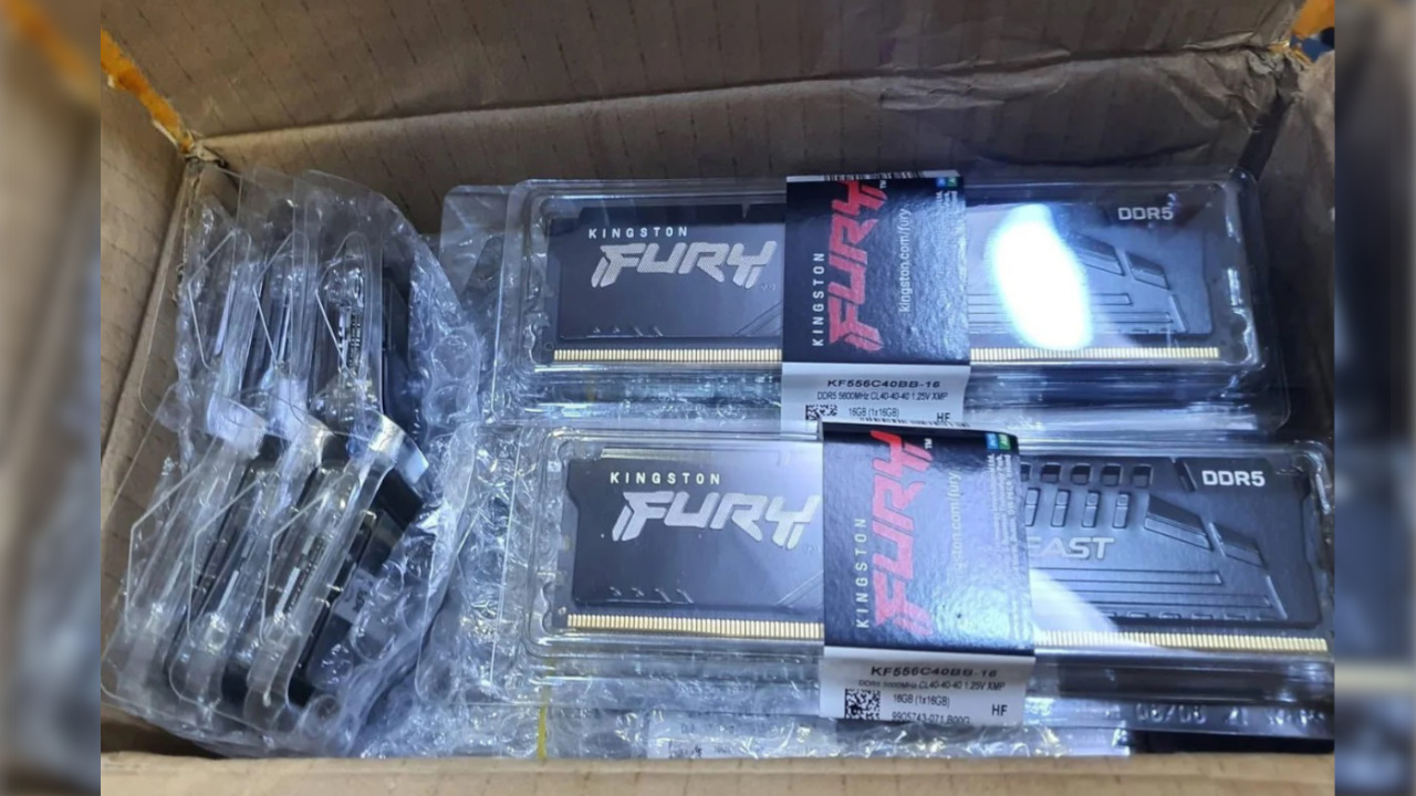 A user spontaneously buys 25 kilograms of junk from Amazon for 80 euros, gets lucky, receives 40 pieces of DDR5 RAM