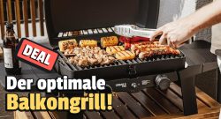 enders-grill-deal-mmo-titel01