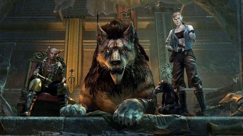 ESO Aufmacher Nachtmarkt