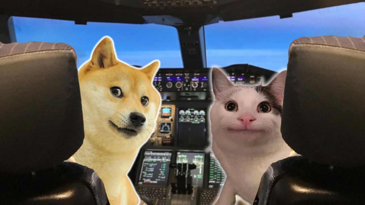 „Ihr müsst euch wie Profis verhalten“: Piloten bellen und miauen im Flugzeug, sollen jetzt überprüft werden