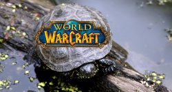 Turtile WoW kündigt Ende an