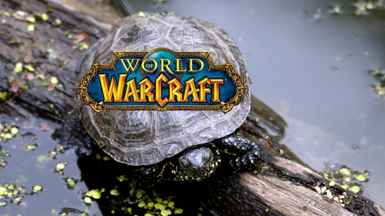 Turtle WoW makes it official: The date for the server shutdown is now set