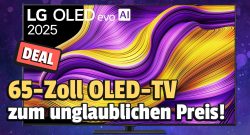 lg-oled-tv-mm-deal-titel01