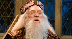 Dumbledore Harry Potter Casting