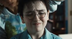 Harry Potter Serie Ginny