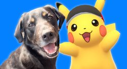 Pokemon GO 42 km Herausforderung Geheimwaffe Titelbild