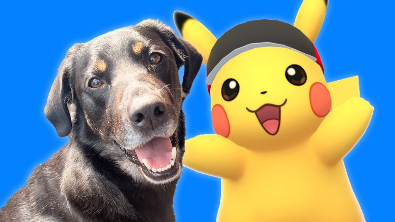 Pokemon GO 42 km Herausforderung Geheimwaffe Titelbild