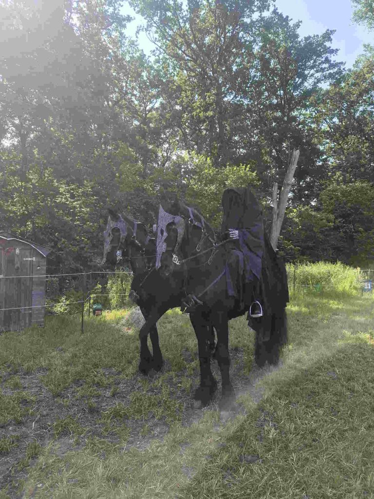 Tolkien Days 2026 impressions photos