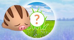 Pokémon GO Rampenlicht-Stunde Quiekel