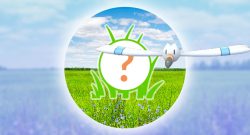 Pokemon GO Rampenlicht-Stunde Juni Wingull