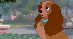 Reddit Disney Animationszelle Titelbild