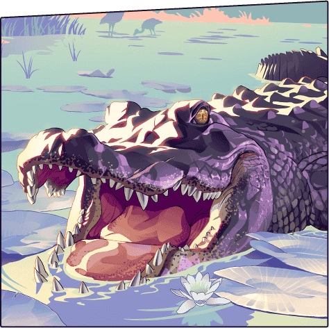 The Crocodile