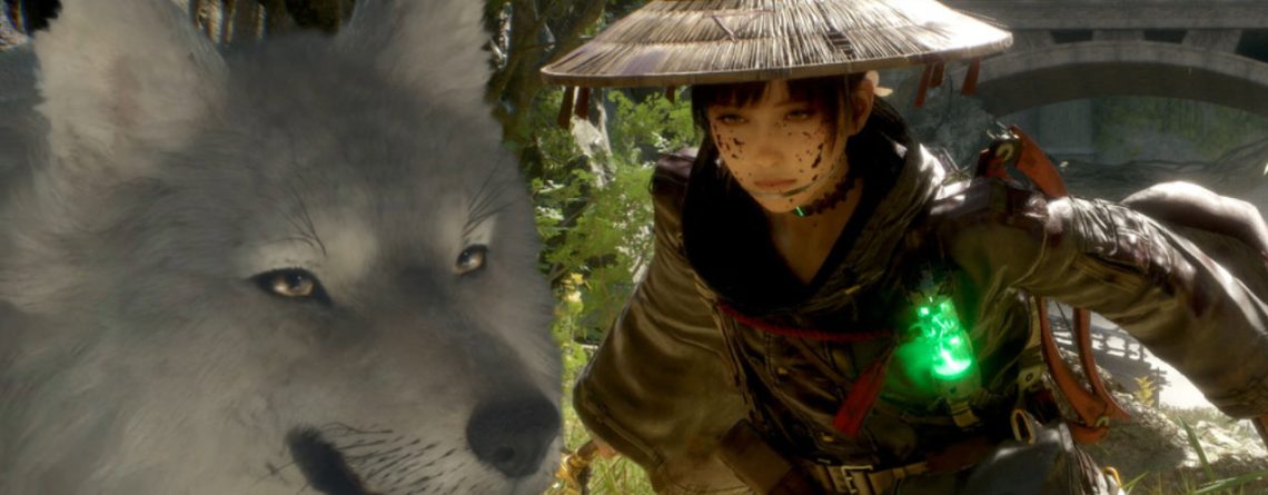 Neues Action-RPG der Pokémon-Macher spielt sich wie Mix aus Sekiro und Monster Hunter, aber für Noobs, die Hunde lieben