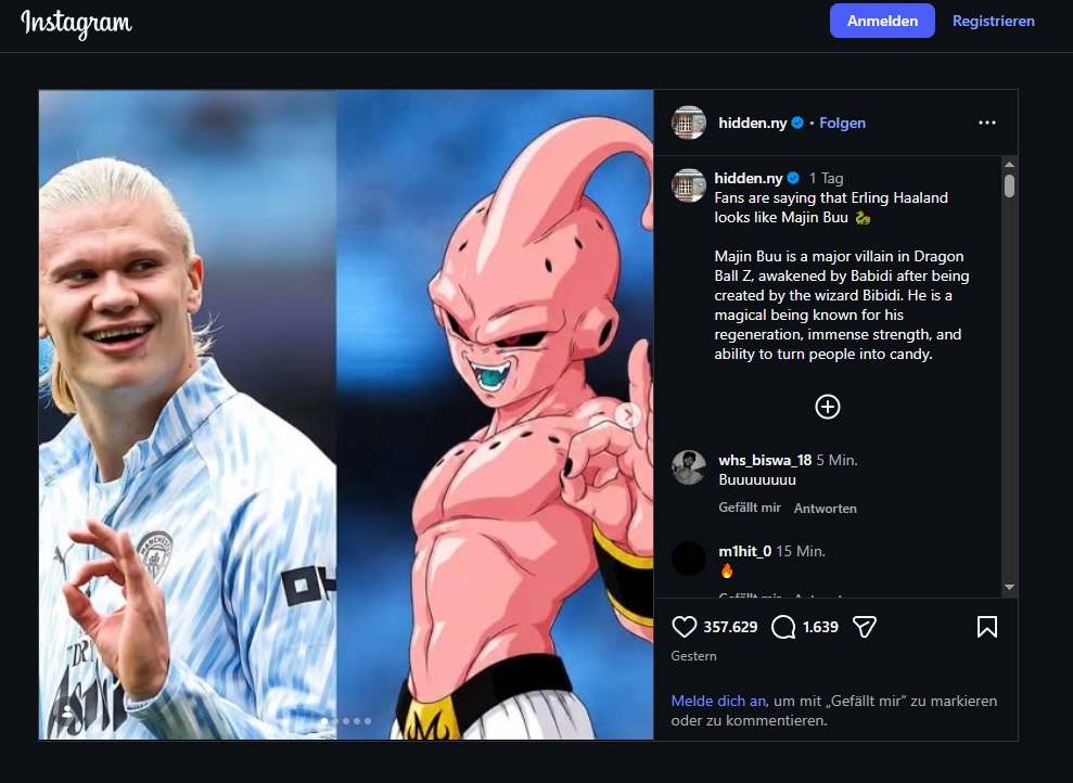Dragon Ball Z Haaland Boo