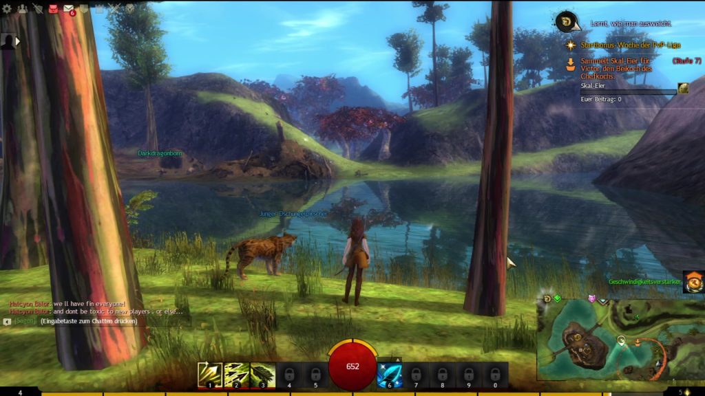 Guild Wars 2 Eindrücke