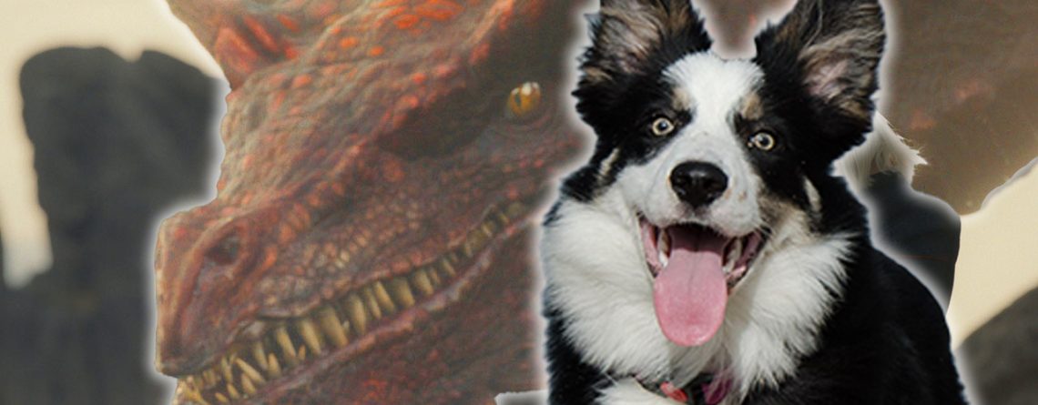 Ein Drache in House of the Dragon verhält sich wie ein sturköpfiger Border-Collie und ich kann nicht mehr