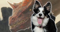 House of the Dragon Caraxes Bordercollie Titelbild