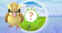 Pokemon GO Rampenlicht-Stunde Taubsi Juli