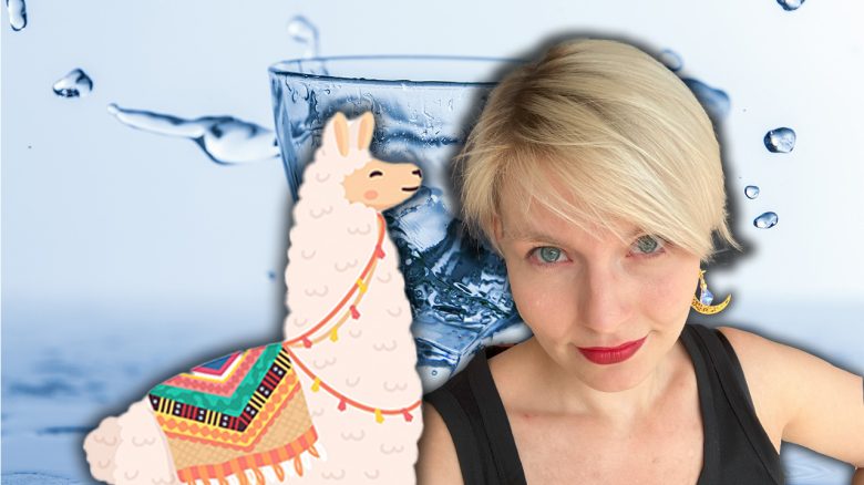 Waterllama App Vorstellung Titelbild