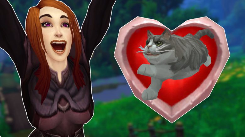 WoW Human Loving Cat Cheer titel title 1280x720