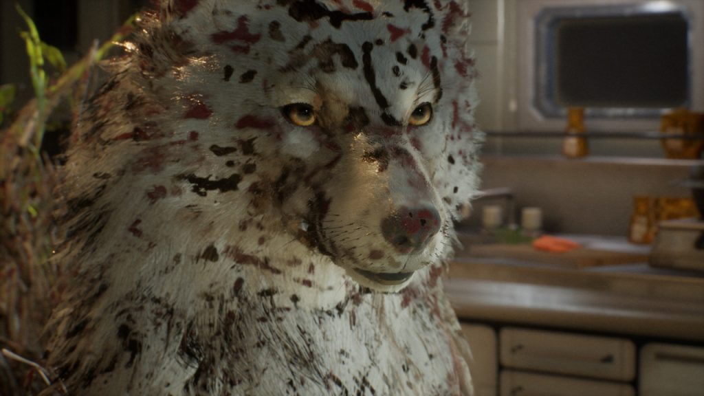 Screenshot shows Koo splattered with blood and oil