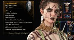 Diablo 5 erster Blick auf Items Titel