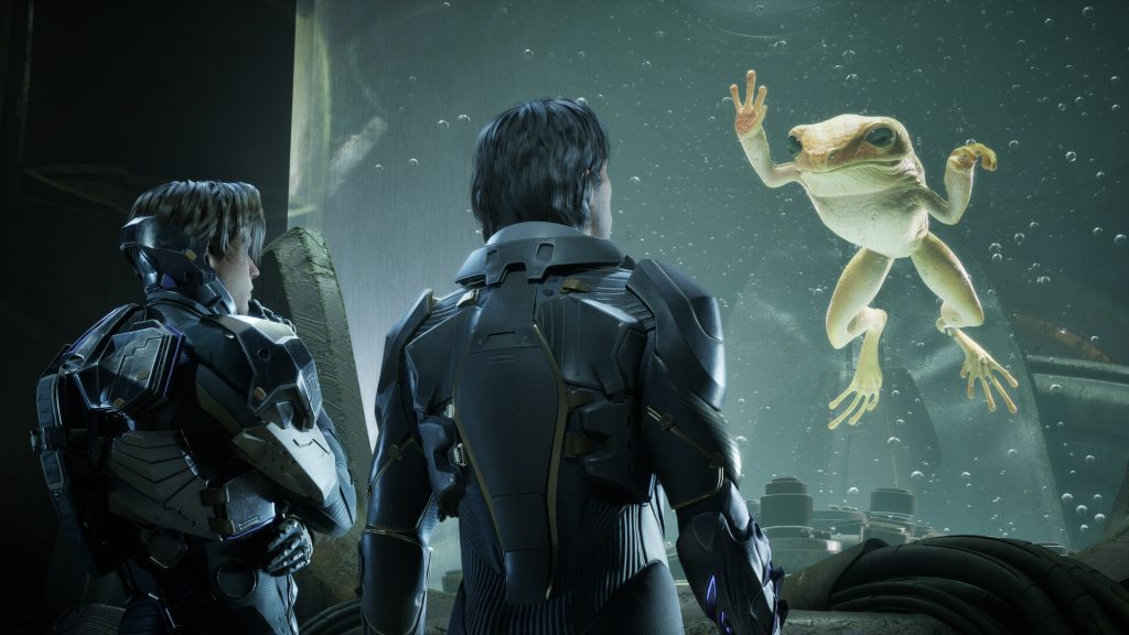 Exodus Frosch BIld