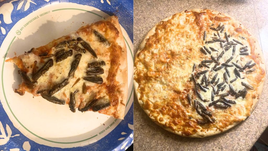Heuschrecken Pizza Cyberpunk