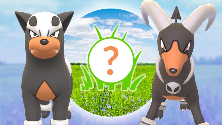 Pokemon GO Rampenlicht-Stunde Hunduster, Hundemon