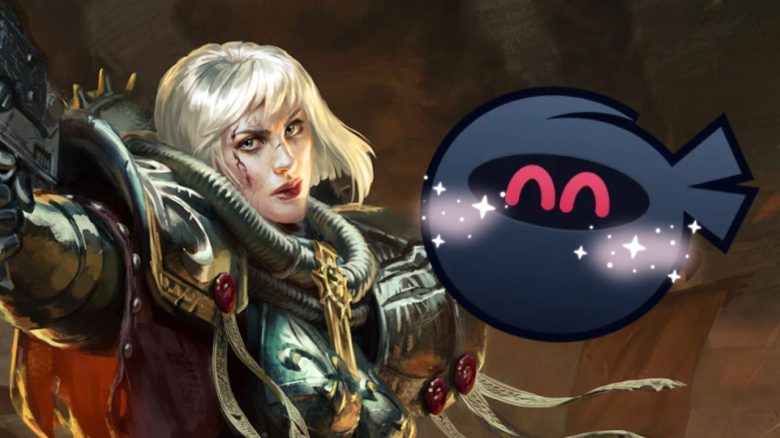Adepta Sororita Ninja
