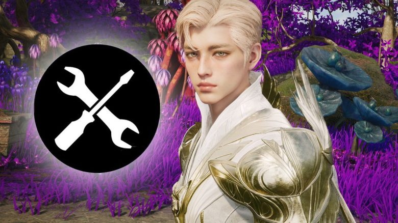 Aion 2 Wartung