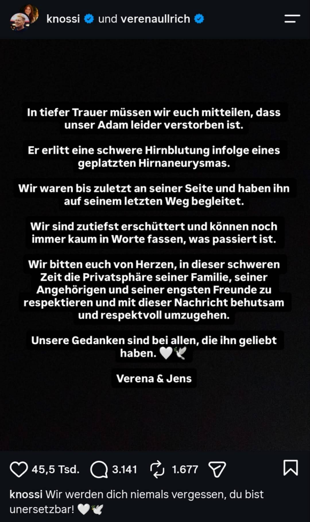Knossi Instagram Statement SkylineTV