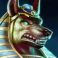 Profilbild von Anubis